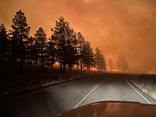 <span class="mw-page-title-main">Tunnel Fire (2022)</span> 2022 Arizona wildfire