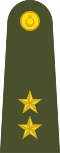 Turkey-army-OF-1.svg