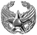 Commander’s insignia*