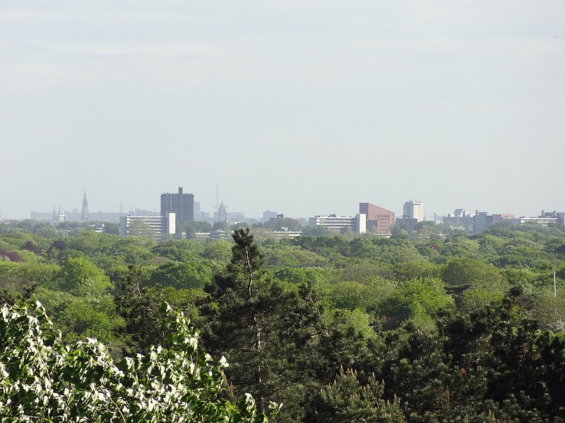 File:Uitzicht toren Duinrell te Wassenaar - panoramio.jpg