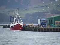 Unloading the catch at Campbeltown