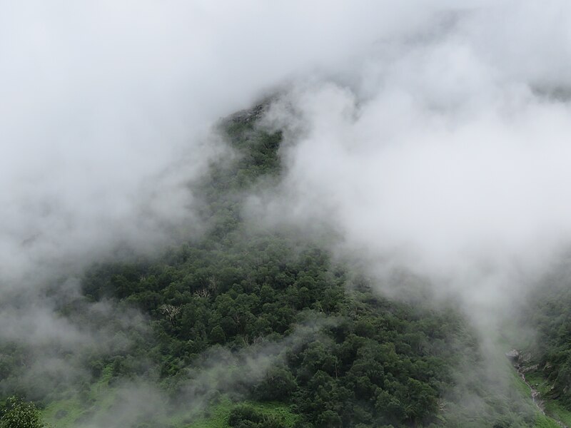 File:Valley of Flowers National Park - during LGFC - VOF 2019 (6).jpg