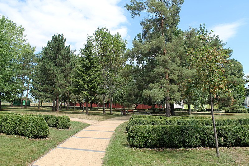 File:Velký Karlov, park (2017-08-05; 02).jpg