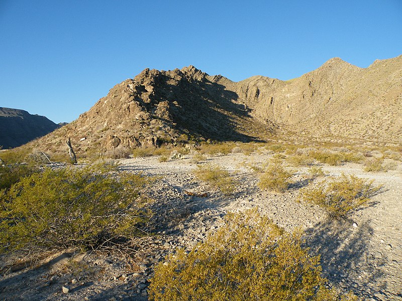 File:Viesca 1st hill, Coahuila (5730679966).jpg