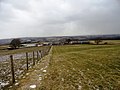 View of Burnopfield Farm - geograph.org.uk - 3386415.jpg
