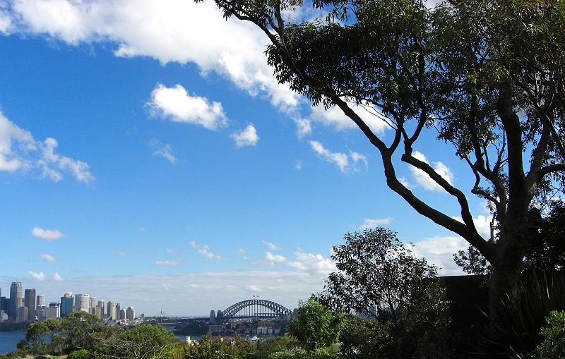 File:View on Sydney from the zoo.jpg