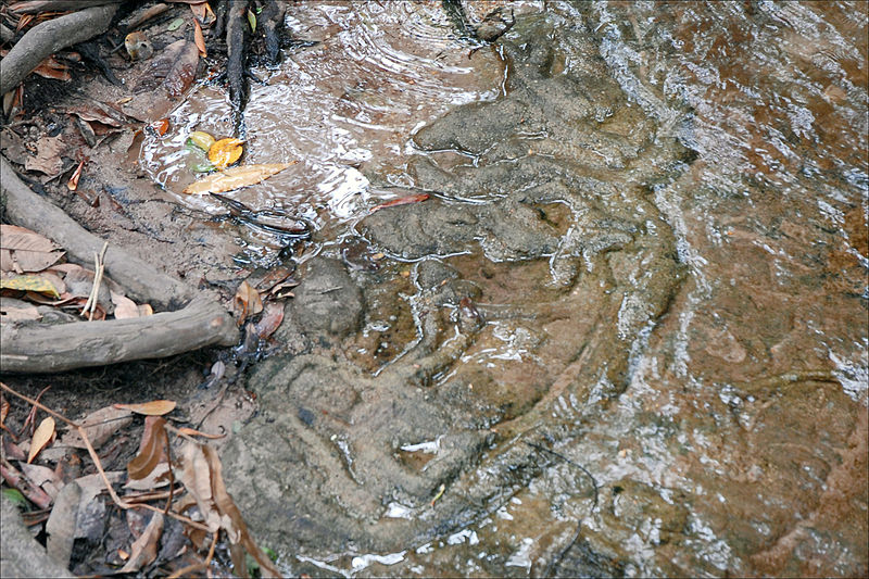 File:Vishnou sur Ananta dans le lit de la rivière sacrée (Phnom Kulen) (6825017809).jpg