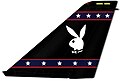 VX-9 F-14 tail markings