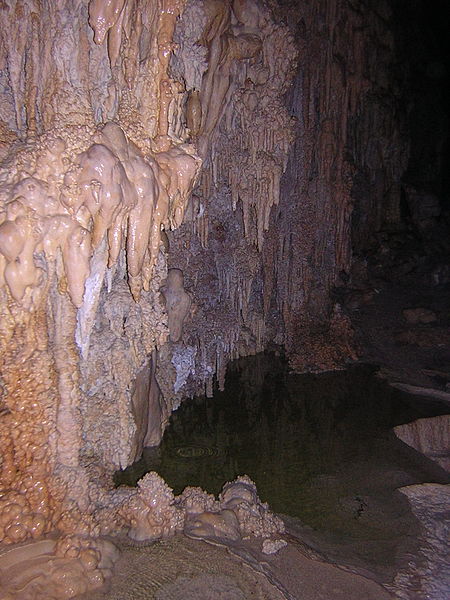 File:Whipple Cave Inside, Wall with Pond.jpg