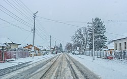 село Паисиево през зимата