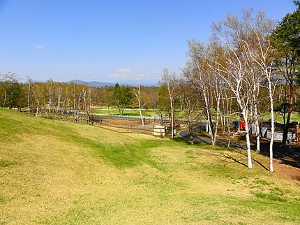 原村の有名地