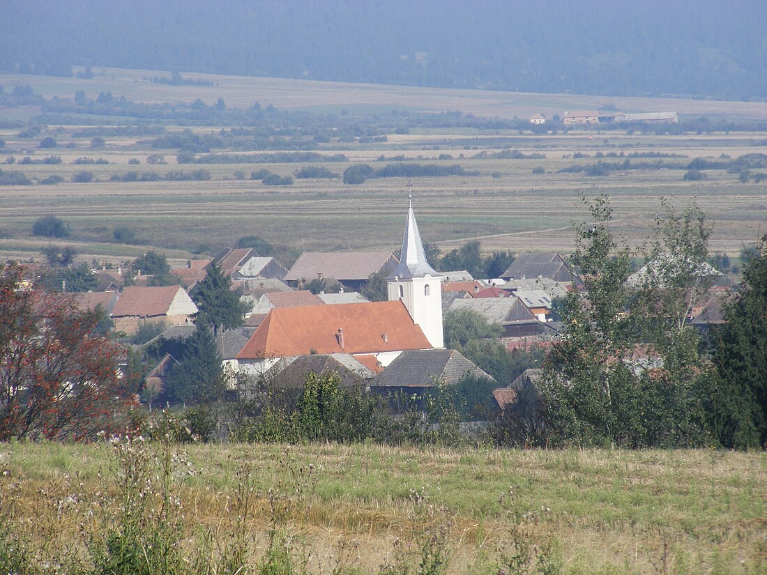 Tușnadu Nou, Harghita