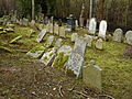 Čeština: Náhrobky na židovském hřbitově ve městě Ledeč nad Sázavou v okrese Havlíčkův Brod. English: Gravestones in the Jewish cemetery in the town of Ledeč nad Sázavou, Havlíčkův Brod District, Vysočina Region, Czech Republic. This is a photo of a cultural monument of the Czech Republic, number: 47082/6-266. Památkový katalog  · MIS  · hledat obrázky  · hledat seznamy  · Wikidata