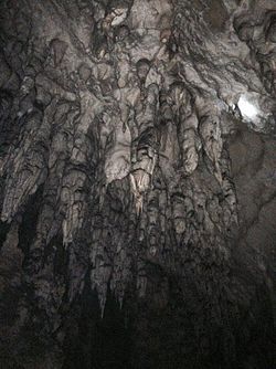 Ледена пећина