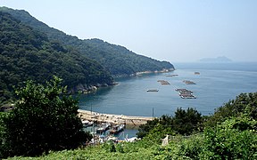 湛江港