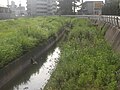 大岡川 (徳島県)のサムネイル
