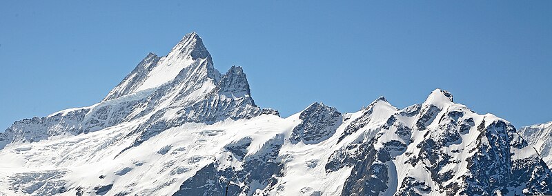 File:00 2460 Schreckhorn (4.078 Meter ü. M), Berner Alpen.jpg