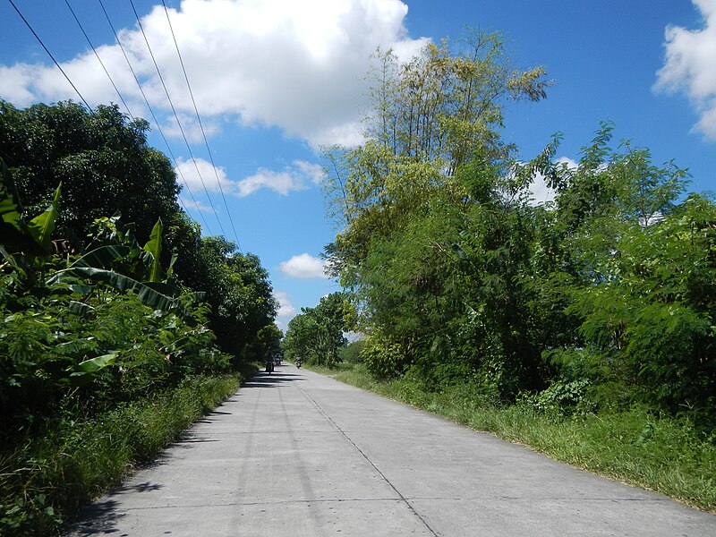 File:09454jfMacArthur Roads Fields Villages Paniqui Tarlacfvf 04.JPG