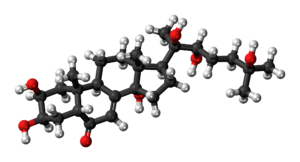 20-Hydroxyecdysone 3D ball.png