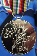 The gold medal 2013 WSDC Sochi - Gold medal.JPG