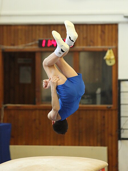 File:2019-05-25 Budapest Cup age group III all-around competition vault (Martin Rulsch) 157.jpg