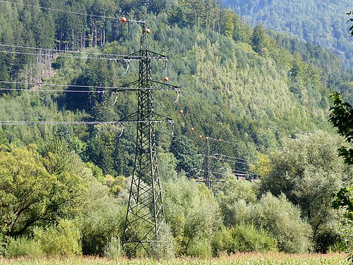 Green electricity pylons in green forest, Styria, Austria