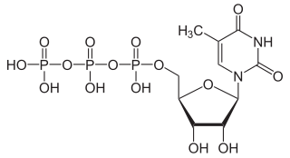 <span class="mw-page-title-main">5-Methyluridine triphosphate</span> Chemical compound