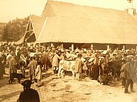 Trh s kravami Faouët, mezi lety 1908 a 1912
