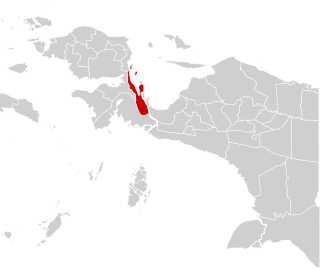 Teluk Wondama Regency Regency in West Papua, Indonesia