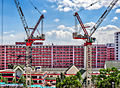 A tale of two cranes (8425956295).jpg