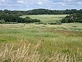 Aarhus Ådal ved Årslev Engsø.