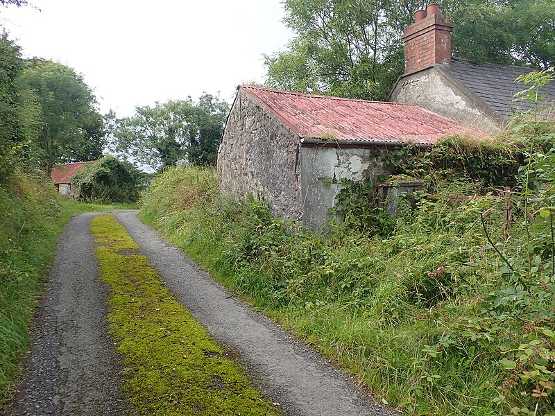 File:Abandoned homestead on Duburren Road - geograph.org.uk - 6243123.jpg