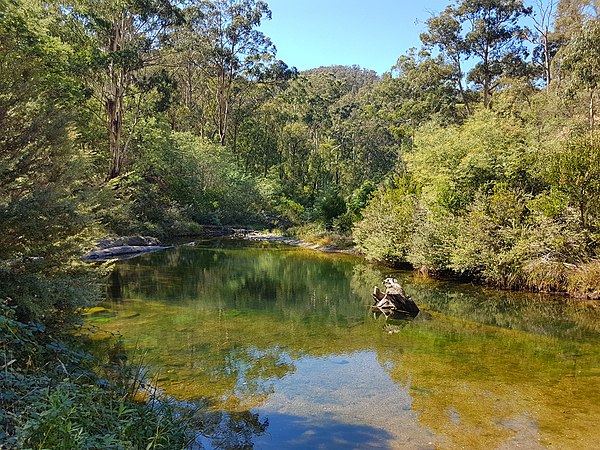 Aberfeldy River, Baw Baw National Park