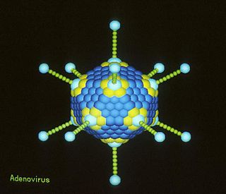 Non-cellular life Life that has no cellular structure