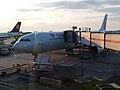 * Nomination Air Canada 834 (Airbus A330-300) at Montréal, Canada. (by Yann) --Kong of Lasers 04:31, 7 September 2017 (UTC) * Decline Window reflections. Probably unfixable --MB-one 10:55, 7 September 2017 (UTC)