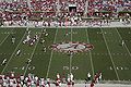 Alabama A-Day Game 2010-04-17