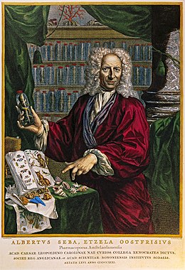 Albertus Seba by Jacobus Houbraken after Jan Maurits Quinkhard.jpg
