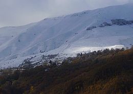 Amatrice en vol stationnaire.JPG