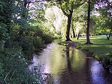 River Allen at Damerham Allen River at Damerham - geograph.org.uk - 448772.jpg