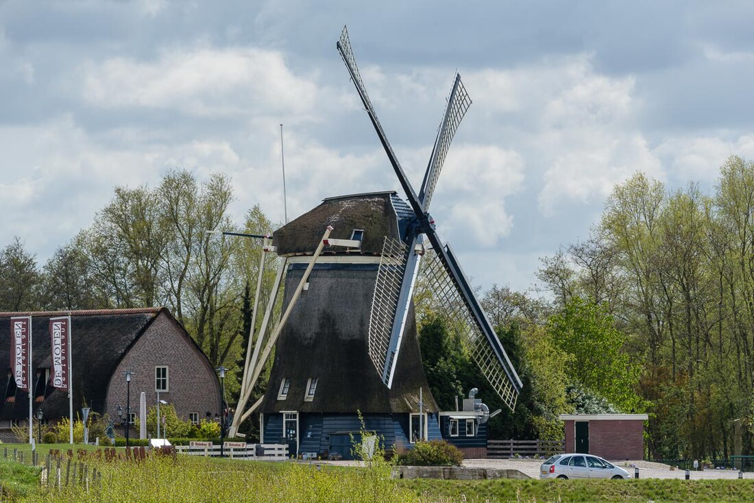 Ankeveen