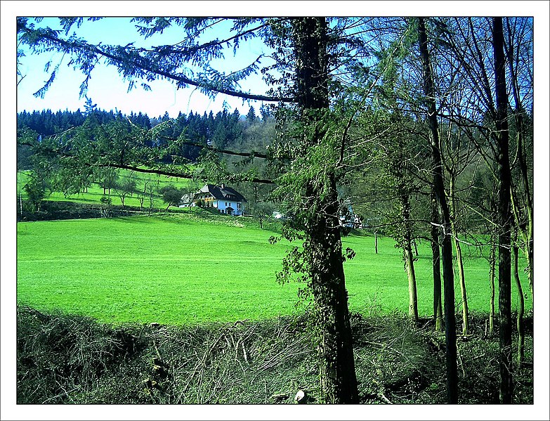 File:April Hochschwarzwald Freiburg im Breisgau - Mythos Black Forest Photography 2013 - panoramio.jpg