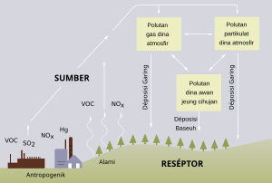 Udan Asam