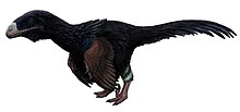 Illustration of a dinosaur covered in dark feathers