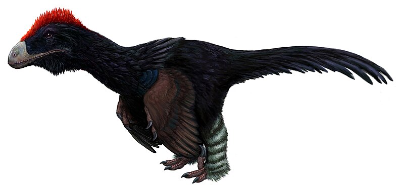 File:Atrociraptor.jpg