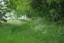 Aves Ditch - geograph.org.uk - 439089.jpg