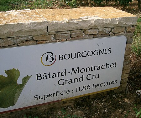 Bâtard Montrachet (Bourgogne)