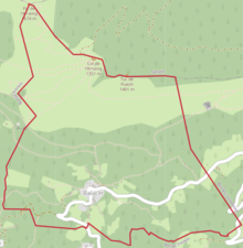 Carte OpenStreetMap