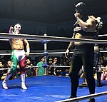 Laget Mexablood (Bandido och Flamita) i Arena Querétaro, mars 2018