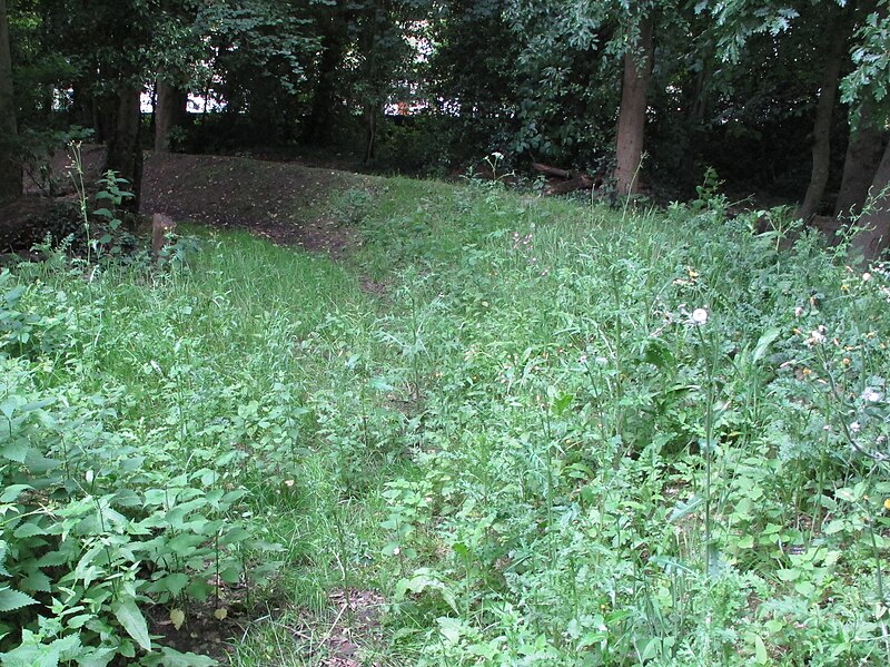 File:Bank in woodland to conserve rainwater, Holland Park - geograph.org.uk - 5807948.jpg