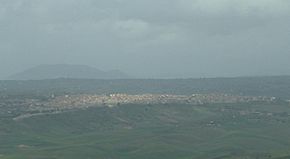 Barrafranca Panorama.JPG